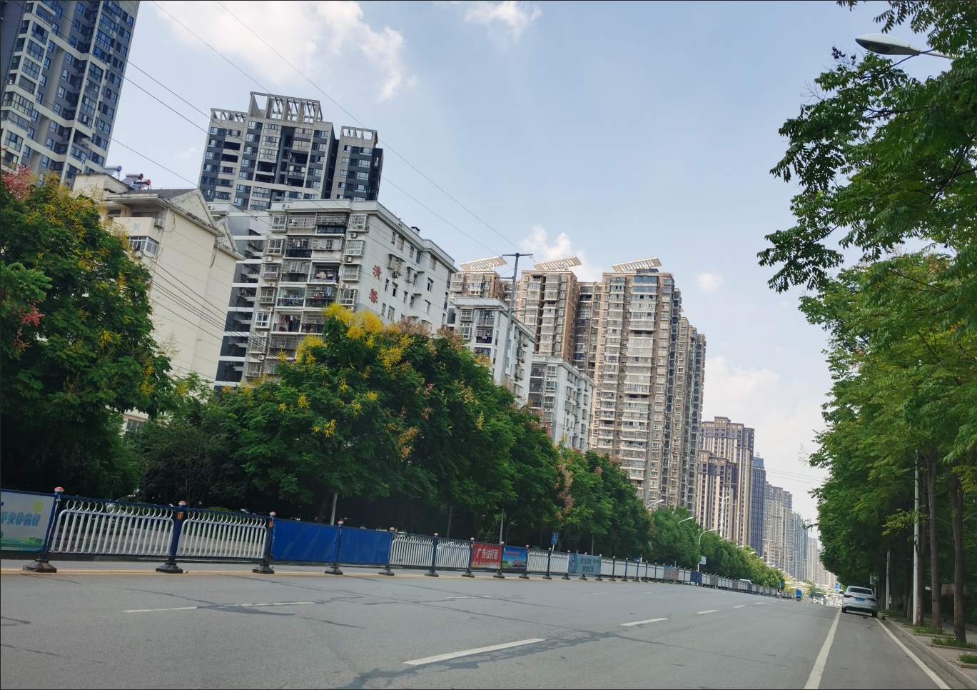金湖大道綠化-01